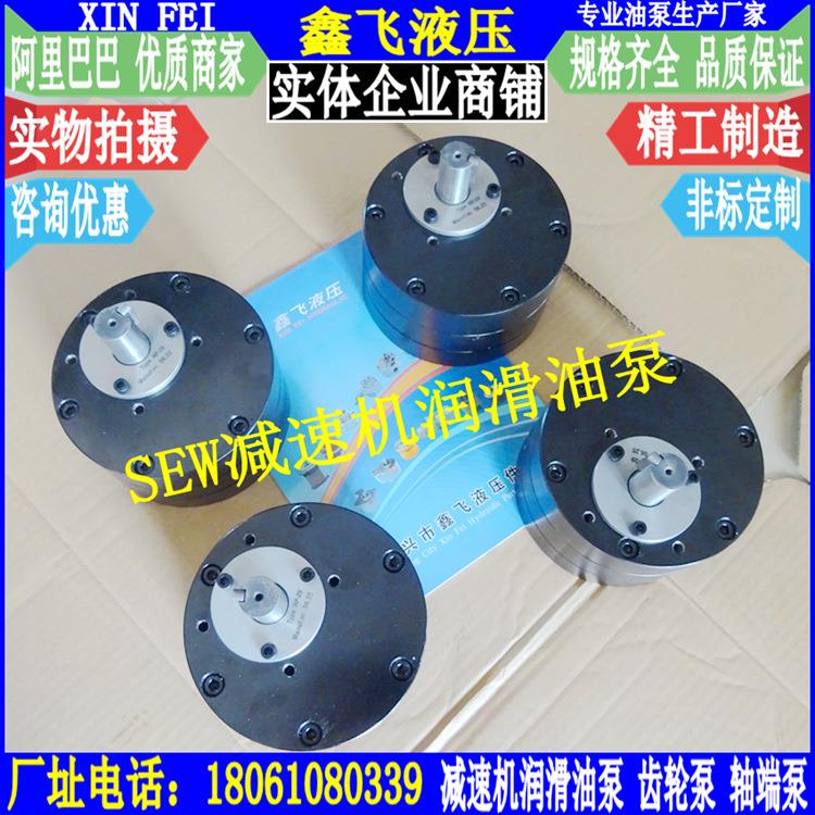 HP12/HP18/HP29/HP47/HP59 TYPE轴端泵LU2 SEW减速机齿轮油泵