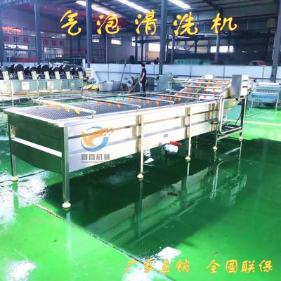 现货销售大丁草水芹气泡清洗设备 水浴式木贼天香炉中药材清洗机