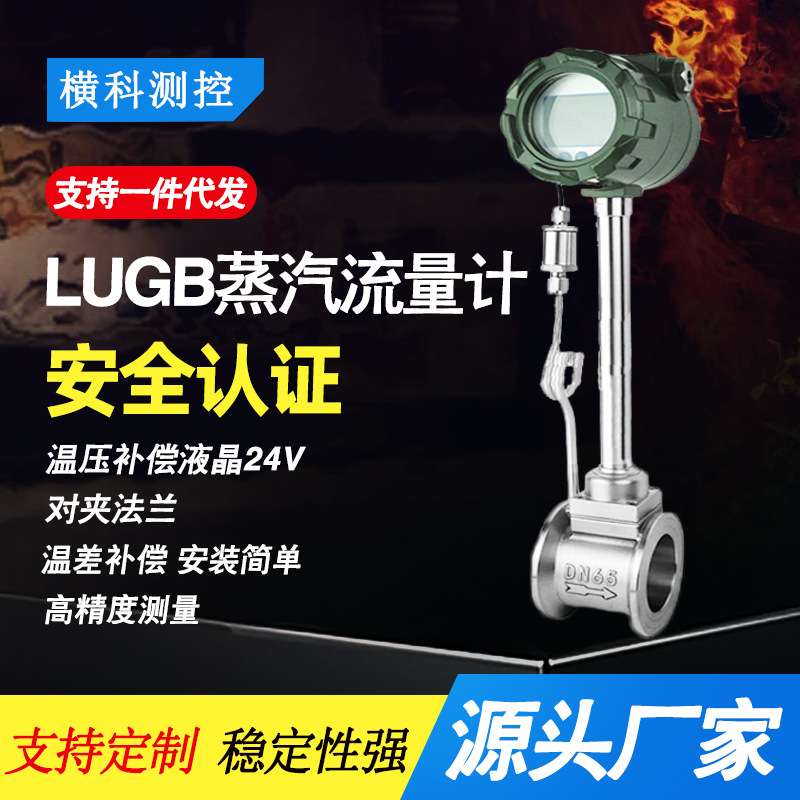 智能蒸汽流量计一体压缩空气流量数显计量表防腐耐高温气体流量计