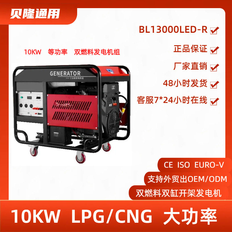 贝隆10KW电启动双燃料发电机