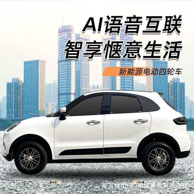 新乐能源老头动四轮车成人油电两车用全封闭家马丁电用代步轿车汽