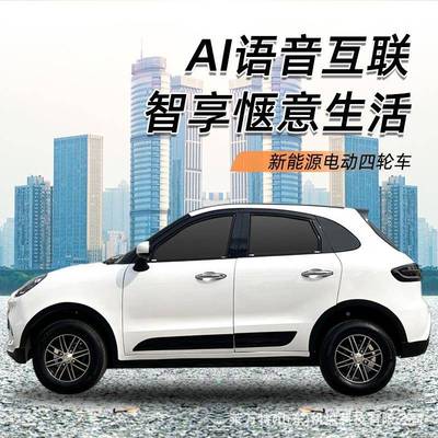 新乐能源老头动四轮车成人油电两车用全封闭家马丁电用代步轿车汽