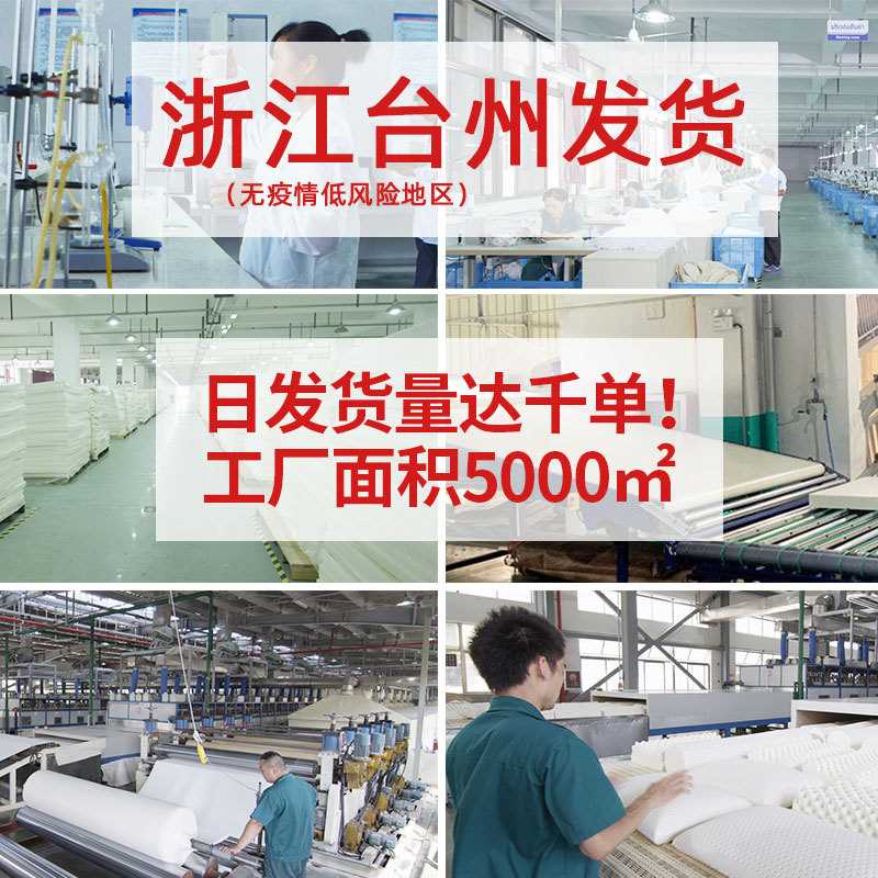 Royal Latex泰国皇家儿童天然乳胶枕头卡通护颈枕学生动物枕芯