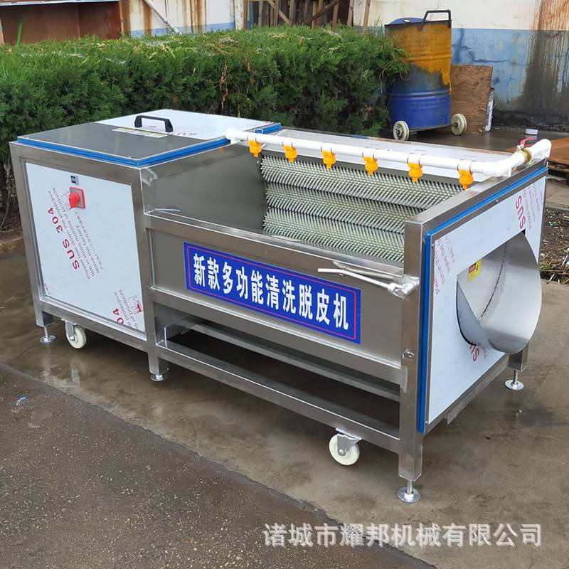全自动洗姜机 毛辊土豆清洗去皮机 生姜中药材红薯脱皮毛刷清洗机