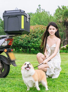 MTN电动车后备箱36L-70L防水透气宠物J箱pp后置通用型摩托车尾箱