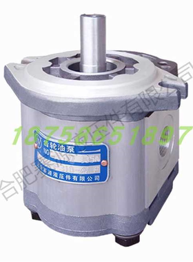 合肥赛源齿轮泵CBW-F306 310 314 316 304 E320-CFP ALP CLP ALH