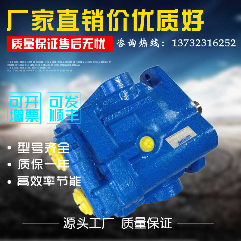 VICKERS变量柱塞泵 液压泵 PVB29-FRS-20-CC-11 士油压油泵~