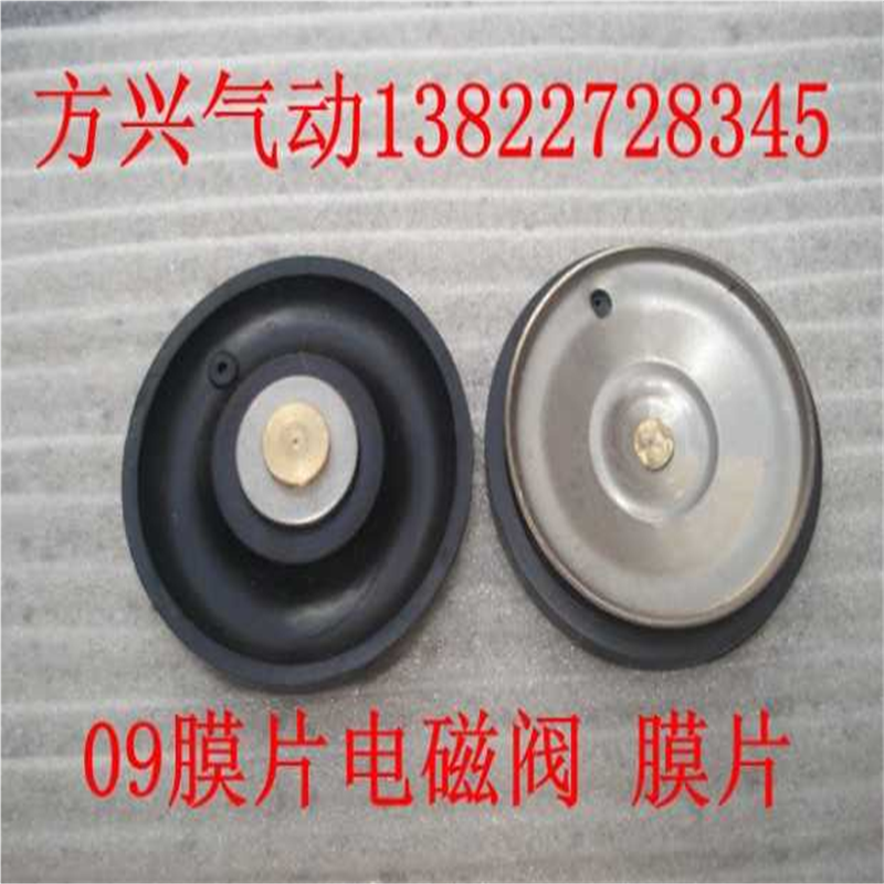 4分6分 1寸 先导电磁阀膜片 0927200 0927300 0927400 电磁阀膜片