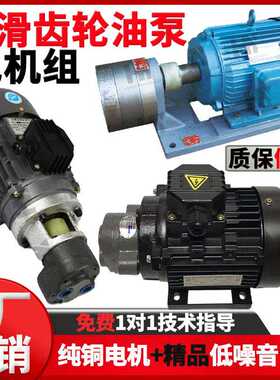 CB-B6/B10/B4/B2.5齿轮泵液压油泵电机组370W/550W润滑油泵头总成
