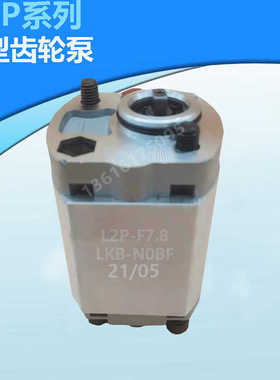 微型齿轮泵L2P-F1.6-LKB-NOBF F1.2 F2.1 F0.75 F0.8 F2.7 F3.2