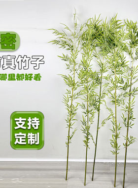 加密仿真竹子室内装饰假竹子隔断屏风挡墙造景室外散尾竹盆栽绿植