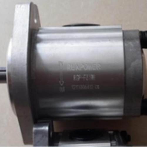 台湾锐力REXPOWER齿轮泵RGP-F202R-k3RGP-F325R-K4-C-L43现货