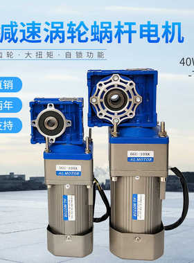 交流40W~750W涡轮蜗杆减速电机RV030RV040调速电机大速比220V380V