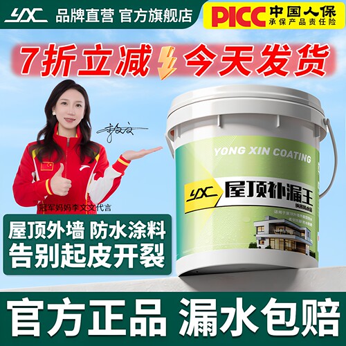 屋顶外墙防水补漏涂料