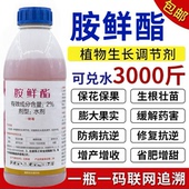 胺鲜酯调节剂保花保果增产解药害生根壮苗果树蔬菜花卉叶面肥