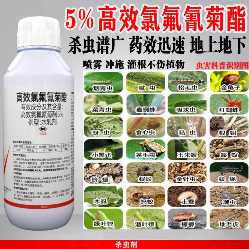 5%高效氯氟氰菊酯农药杀虫剂果树蔬菜蚜虫钻心虫菜青虫地下杀虫药