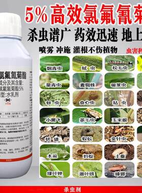 5%高效氯氟氰菊酯农药杀虫剂果树蔬菜蚜虫钻心虫菜青虫地下杀虫药