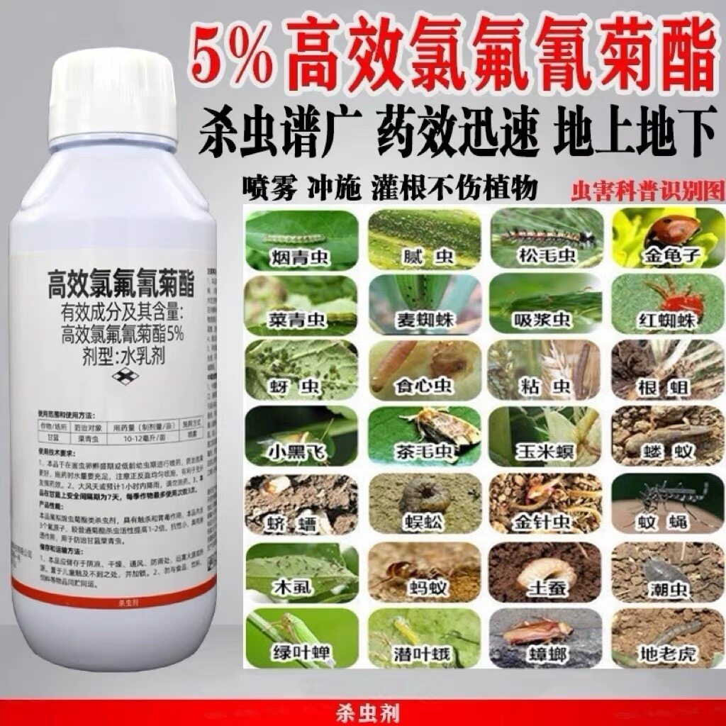5%高效氯氟氰菊酯农药杀虫剂果树蔬菜蚜虫钻心虫菜青虫地下杀虫药
