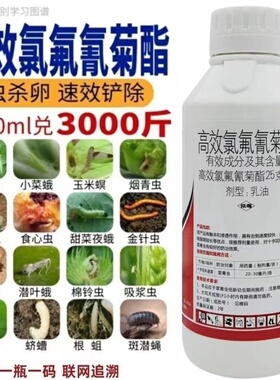 25高效氯氟氰菊酯农药杀虫剂果树蔬菜蚜虫钻心虫菜青虫地下杀虫药