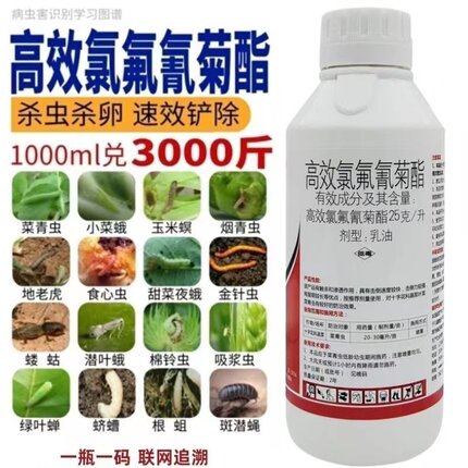 25高效氯氟氰菊酯农药杀虫剂果树蔬菜蚜虫钻心虫菜青虫地下杀虫药