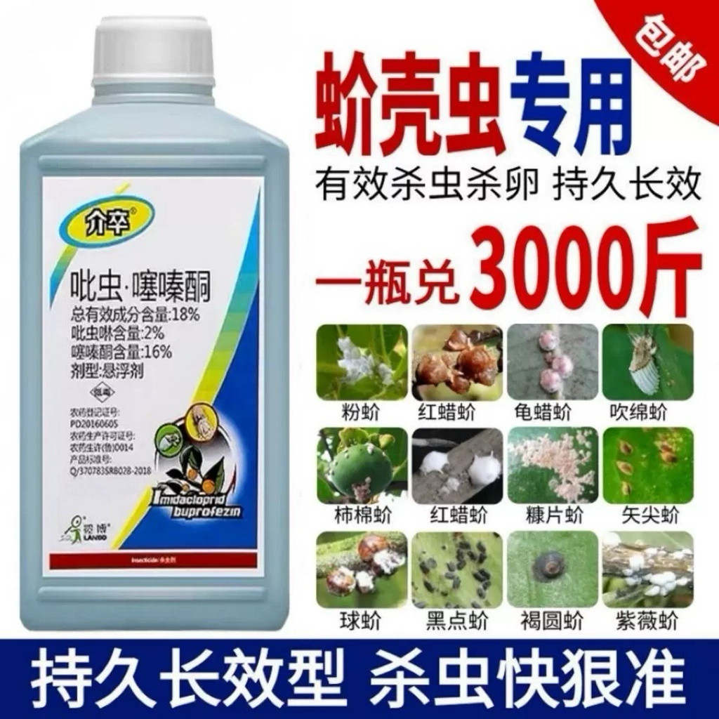 蚧壳虫专用药介壳虫杀虫剂吡虫啉噻嗪酮果树柑橘多肉花卉月季农药