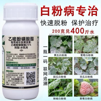 白粉病专用药杀菌剂乙嘧酚磺酸酯葡萄草莓果树黄瓜蔬菜花植物农药