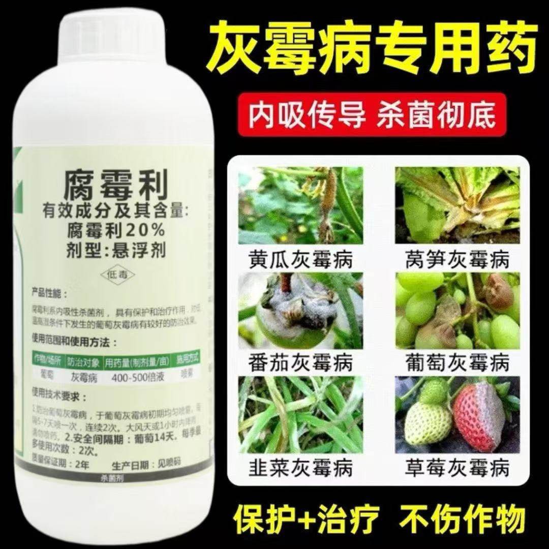 灰霉病专用药腐霉利杀菌剂疫病黄瓜韭菜番茄草莓葡萄果树灰霉农药