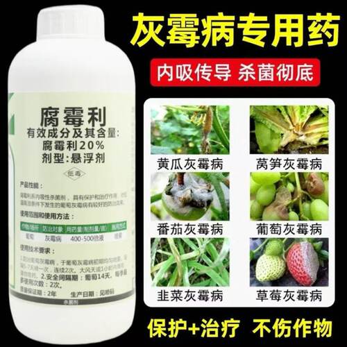 灰霉病专用药腐霉利杀菌剂疫病黄瓜韭菜番茄草莓葡萄果树灰霉农药