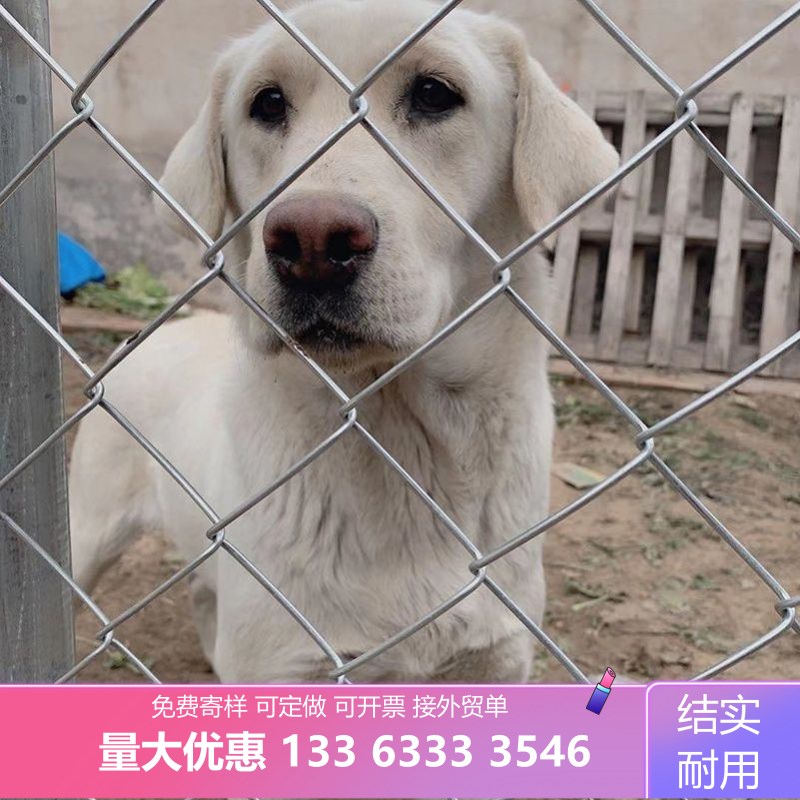 热销镀锌钢丝勾花网铁丝网围栏果园防护网圈山防狗养鸡护网养殖围