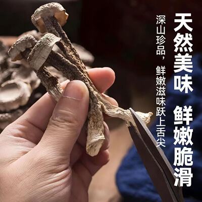 【4A级】鹿茸菇干货无熏硫福建菌子香菇干批发价精选古田菌菇精品