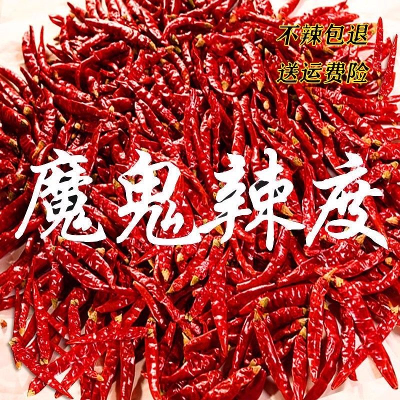 正宗印度进口S17巨辣魔鬼椒火锅配料超辣干辣椒四川火锅批发
