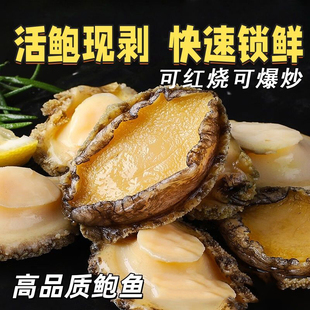 新鲜冷冻鲍鱼肉去壳去牙去内脏火锅食材佛跳墙食材福建连江鲍鱼