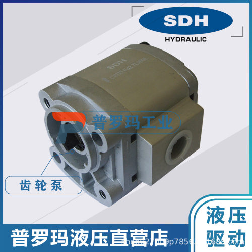 SDH齿轮泵液压油泵CBGb2080FJL-ST现货供应