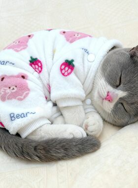 可爱猫咪珊瑚绒保暖衣服过冬冬天保暖防寒小型犬狗狗加厚四脚冬装