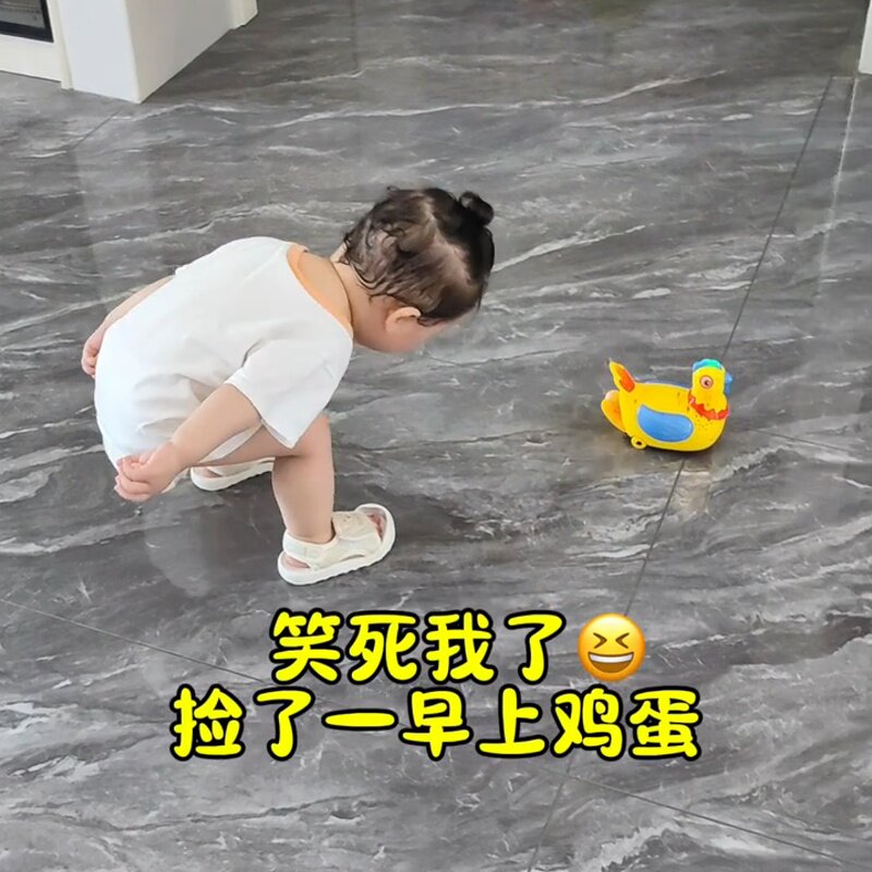 小月龄幼儿玩具会下蛋母鸡唱歌电动万向儿童益智早教玩具男孩女孩