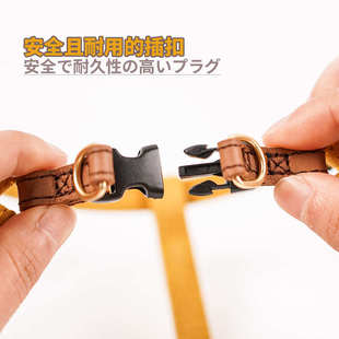 AZERIA猫咪狗狗牵引绳小型犬宠物胸背工字型可调节户外遛狗绳