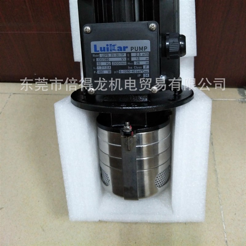 速发立式浸入式油泵LDPB2V-20-0-40-50-60-70-80-0TP机床配套水泵