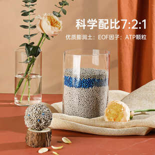 维利亚膨润土猫砂除臭几近无尘包邮20公斤豆腐砂矿砂幼猫专用猫沙