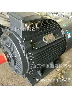 YT-200L1-2-30FKW电机B8装YS安电机电轴伸端机自带轴DEY用档圈