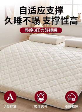 A类大豆纤维榻床垫用卧室家软垫垫榻米子海绵垫租房专用学生1MHJ