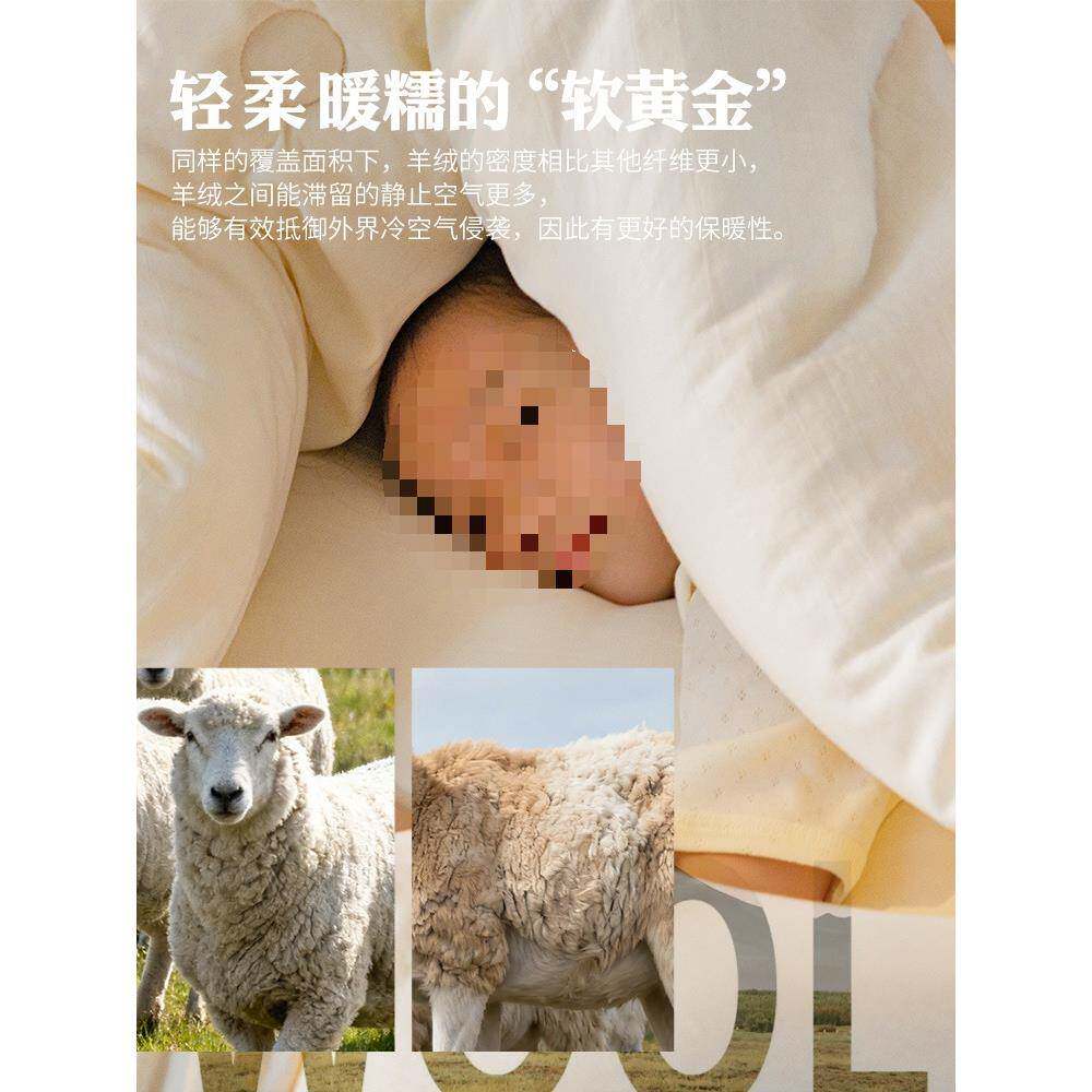 手工桑蚕长丝澳洲羊绒毛被子芯冬被厚加暖保春秋冬季棉被四季ltao
