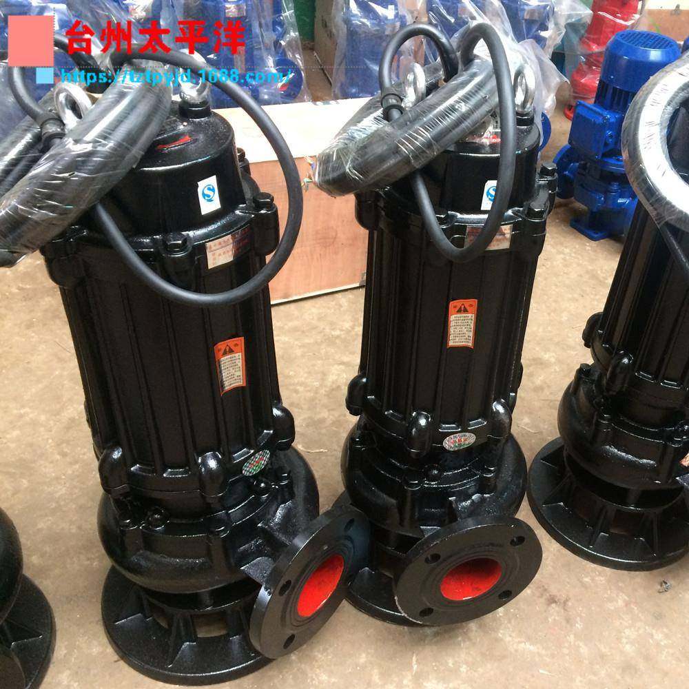 功率55kw污水泵7w无堵塞抽水提WLB大5升泵电k动排污泵