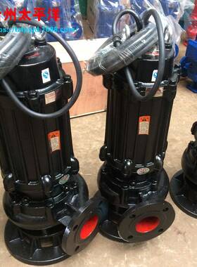 功率55kw污水泵7w无堵塞抽水提WLB大5升泵电k动排污泵