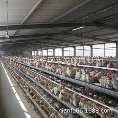 养鸡场生蛋/肉笼子VEJ出口阶梯养式殖蛋鸡笼子防锈镀鸡锌雏鸡笼