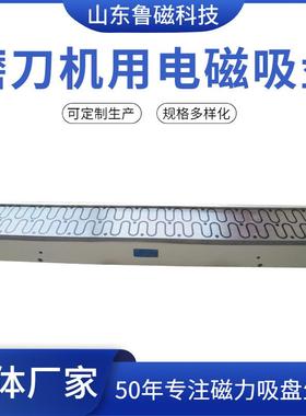 定TJP制X11 磨厂刀机电磁盘吸源头生Z产家