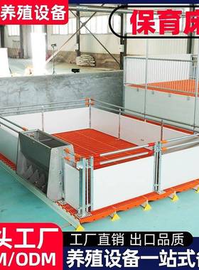 正红养殖设备殖仔猪保育床小养猪保仔猪GVR专用场欧式保育床育栏