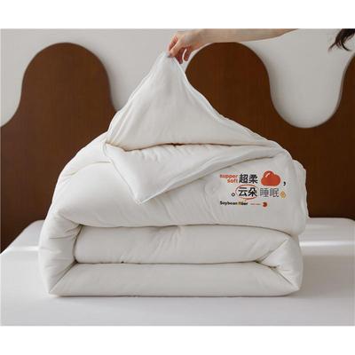 类官李奇超柔云朵大A豆被四季款厚加YLS-202冬被子母被贴身透气被