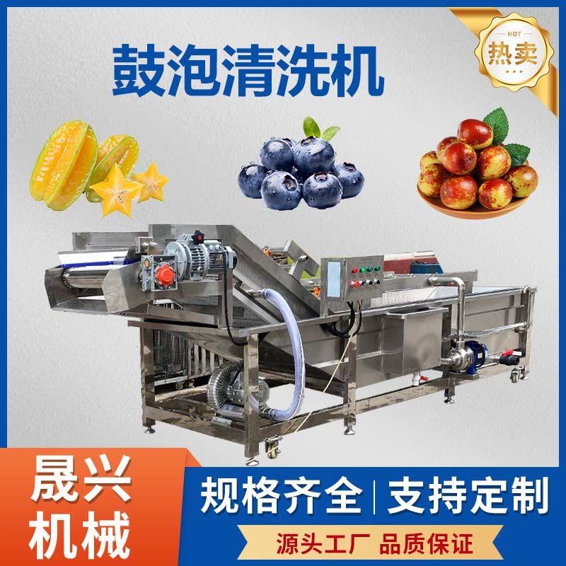 商用鼓泡清洗机杨桃蓝莓大枣气泡清洗机生蚝扇贝小龙虾气泡清洗机
