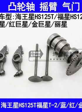 适用豪爵蓝巨星红巨星金巨星海王星福星踏板摩托车凸轮轴摇臂气门