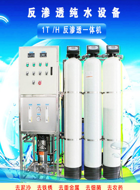 定制水处理设备大型工业商用净水器ro去离子直饮超纯水设备反渗